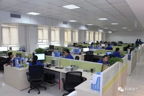 建優質項目 鑄精品工程——走進科林電力工程總承包的卓越工程管理服務